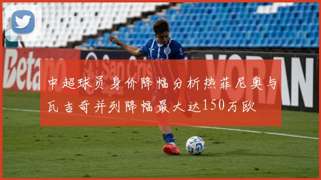 中超球员身价降幅分析热菲尼奥与瓦吉奇并列降幅最大达150万欧